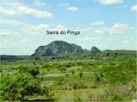 Conjunto de relevos residuais alinhados, denominados de Serra do Pinga. Foto: Rogério Valença Ferreira.