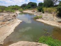 Tanque fossilífero