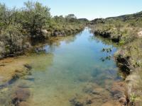 Nascente do Rio Brumado no Vale do Queiroz, aquifero aluvionar em período de chuvas. Foto; Violeta de Souza Martins, 2016.