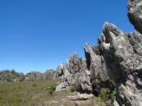 Area de camping do Vale do Queiroz para o acesso ao Pico das Almas. Foto:  Rogério Valença Ferreira, 2015.