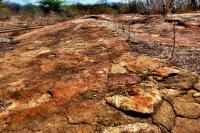 Vista geral do geossítio Fazenda Paraíso, com pegadas de dinossauros em primeiro plano. Crédito: Rafael Costa da Silva