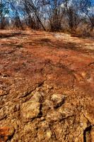 Vista geral do geossítio Fazenda Paraíso, com pegadas de dinossauros em primeiro plano. Crédito: Rafael Costa da Silva