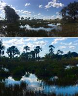 Fig. 2 - a) Vista panorâmica da Vereda; b) detalhe mostrando o lago espelhando o céu. 